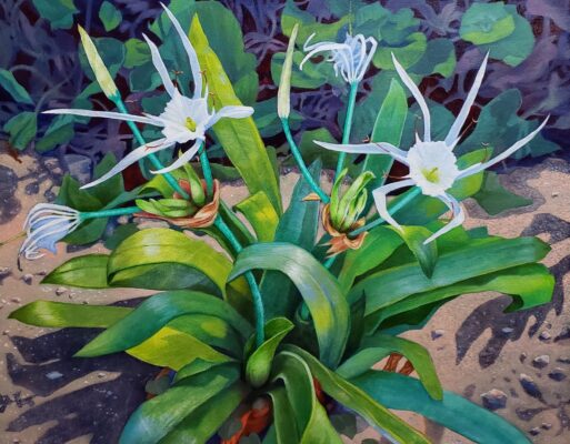 BEACH SPIDER LILY (SMALL)
