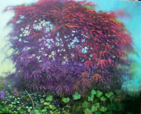 JAPANESE MAPLE